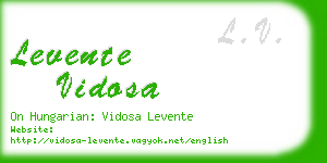 levente vidosa business card